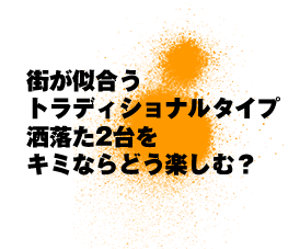 X gfBVi^Cv 2 L~ȂǂyށH