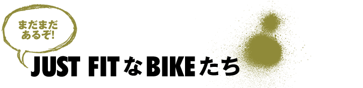 ܂܂邼!@JUST FITBIKE