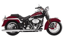 HARLEY DAVIDSON  FLSTSC \teC XvK[NVbN