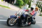 Harley Davidson FLSTCI