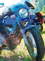 HONDA@Hornet