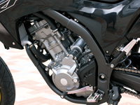 z_ CRF250M GW