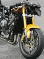 TRIUMPH DAYTONA675