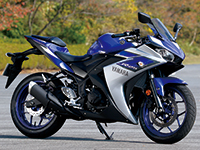 }n YZF-R25