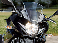 XYL GSX250R wbhCg