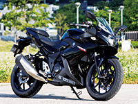 XYL GSX250R
