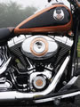 HARLEY-DAVIDSON FLSTC 105周年記念車