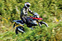 BMW G310GS