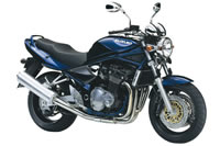 Bandit1200