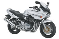 Bandit1200