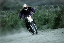 DT/LANZA Series