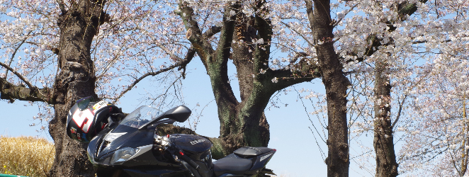 ָ˥夷Ƥʤ