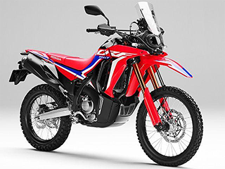 CRF250 ꡼