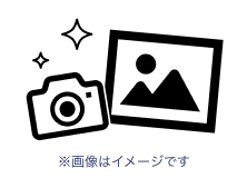 滑走路走行写真（1枚）