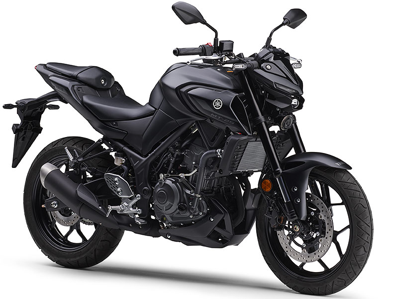 ޥ MT-25
