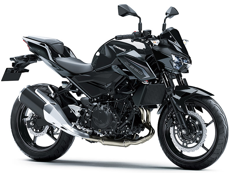 掠 Z250