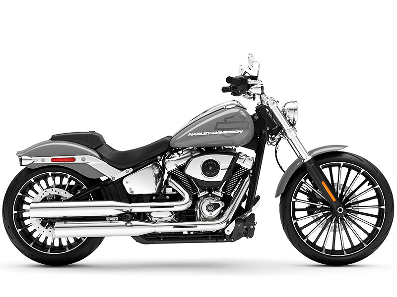 ϡ졼ӥåɥ ֥쥤117