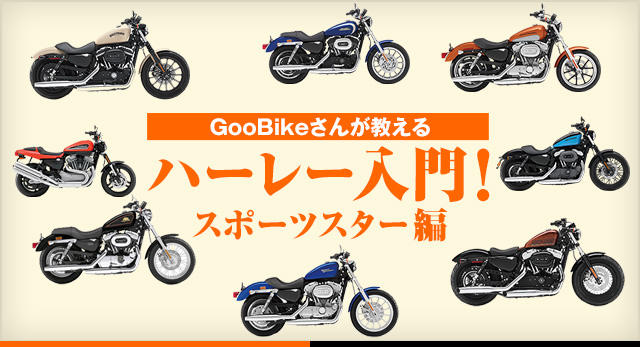 GooBike󤬶 ϡ졼硪 ݡĥ