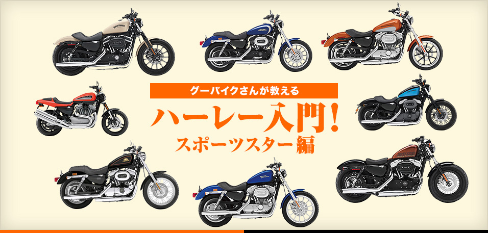 ハーレー入門 スポーツスター編 新車 中古バイク情報 グーバイク Goobike