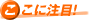 ここに注目!