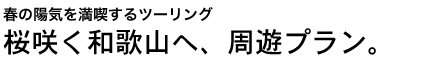 t̗zC𖞋ic[O炭a̎RցAVvB