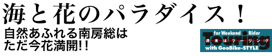 CƉԂ̃p_CXIRӂ[͂ԖJII