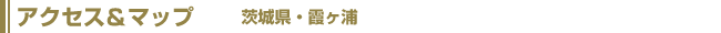 ANZX}bv