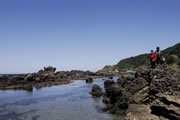 ゴジラ岩