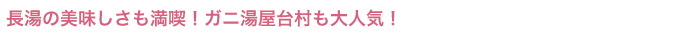 ̔iIKj䑺lCI