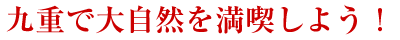 dő厩R𖞋i悤I