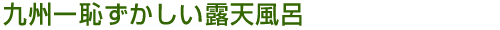 BpIVC