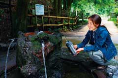 護摩屋敷の水