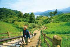 宮ヶ瀬湖 鳥居原園地
